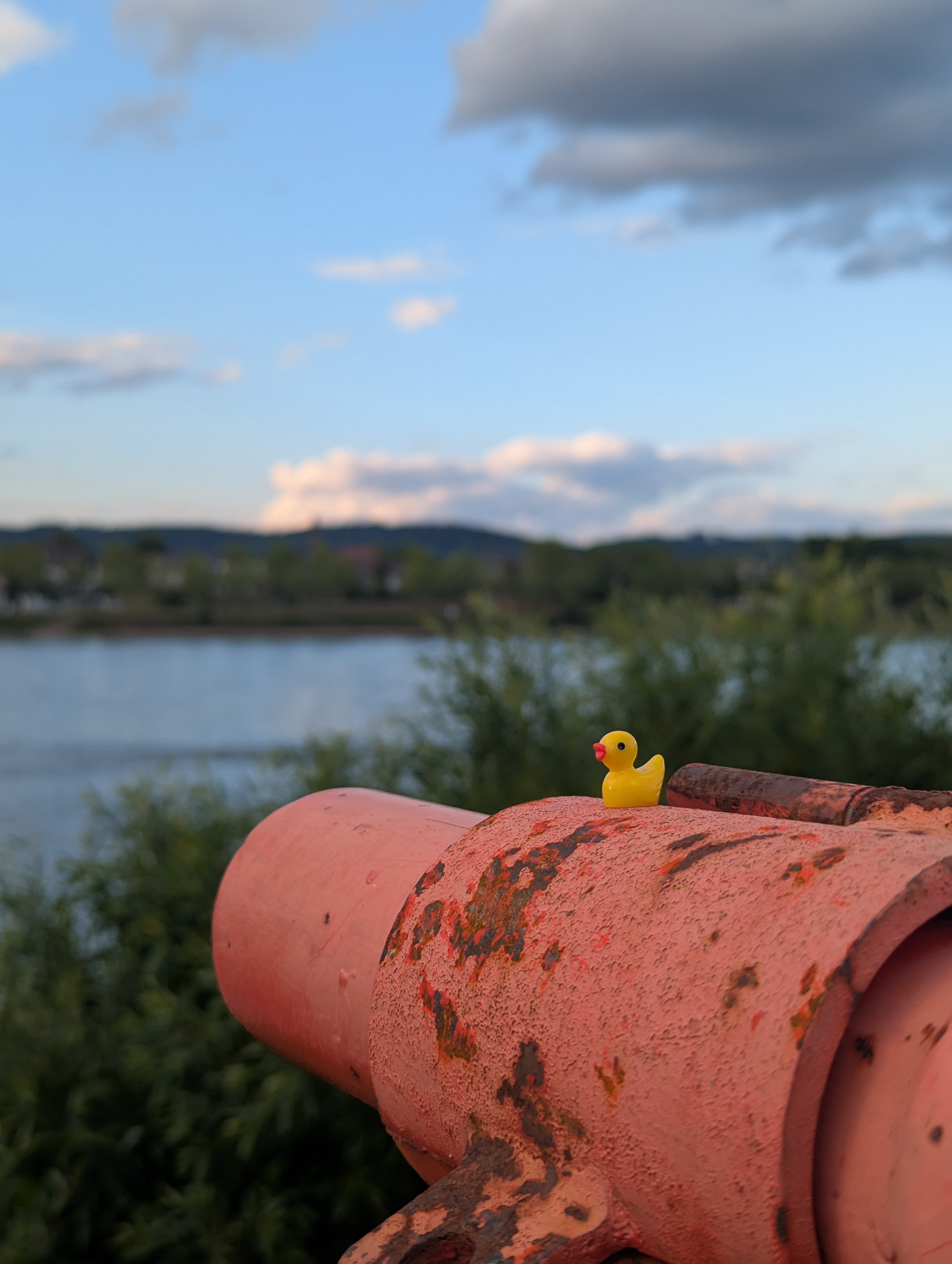 Along the Rhein