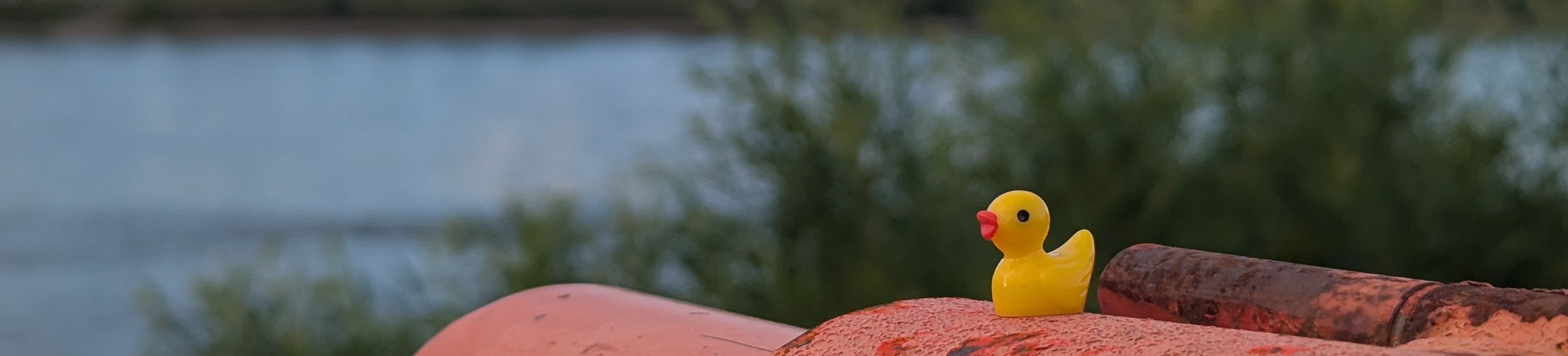 Exploring Duck - banner image